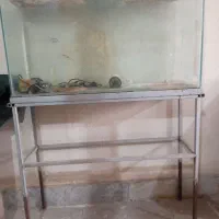 آکواریوم و پایه