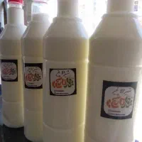 شیرالاغ تازه از مزرعه پرورش الاغ شیری بذرافکن