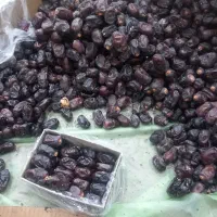 سورت و بسته بندی خرما