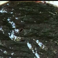 رب انار ترش سیاه ورب الوچه|خوردنی و آشامیدنی|رشت, استقامت ۲|دیوار