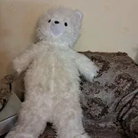 خرس بزرگ کاملا سالم