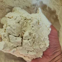 گندم و آرد با ضمانت