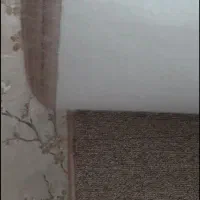 پالاز موکت