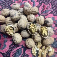 گردو کاغذی و مغز پر و میوژ انگور رشمیری