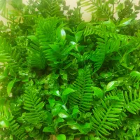 دیوارپوش گرین وال|گل مصنوعی|اهواز, زیتون کارمندی|دیوار