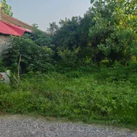 ۵۰۰مترزمین مسکونی/برای ساخت ویلا/اشمان کماچال|فروش زمین و ملک کلنگی|آستانه اشرفیه, |دیوار