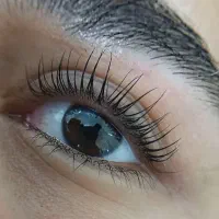 شنیون و لیفت مژه و ابرو|خدمات آرایشگری و زیبایی|جهرم, |دیوار