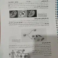 جزوه معین کرمی/فراهانی/قضاتی/عظیمی/براتی 1404و1405|کتاب و مجله آموزشی|تهران, فلسطین (میدان انقلاب)|دیوار