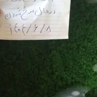 سبزی قرمه سبزی آش ونعنا شیره ی انگور عسگری|خوردنی و آشامیدنی|نیشابور, امام خمینی|دیوار