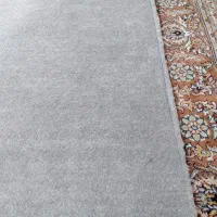 پالازموکت|موکت|ارومیه, |دیوار