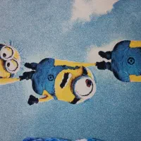 فرش چهار متری|فرش|رشت, حمیدیان|دیوار