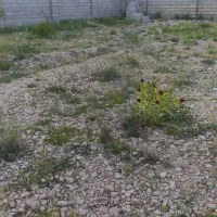 فروش-زمین-باغی