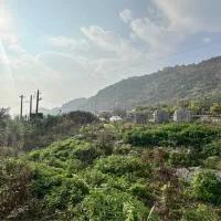 ۴۵۱متر زمین صنعتی بر جاده اصلی شهر لیسار|فروش زمین و ملک کلنگی|لیسار, |دیوار
