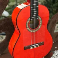 آموزش خصوصی گیتار
