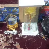 گوی نو