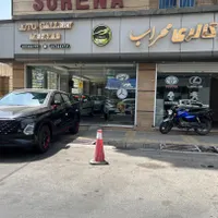 فروش اقساطی فونیکس FX پرمیوم صفر خشک ۱۴۰۴|خودرو سواری و وانت|تهران, کوی بیمه|دیوار