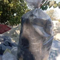 زغال کبابی|عمدهفروشی|شهریار, کرد امیر|دیوار