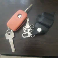 سویچ پژو گم کردم