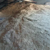 گاه گندم کمباین دیم