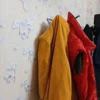 چند دست لباس|لباس|لنجان, |دیوار