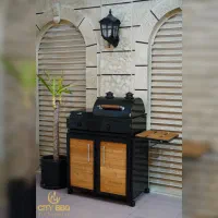 باربیکیو گازی و ذغالی|اجاق گاز و لوازم برقی پخت‌وپز|اصفهان, شاهزید|دیوار