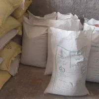 فروش بذرکوشش