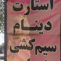 سواری کار برق خودرو تنظیم موتور خودروهای سواری