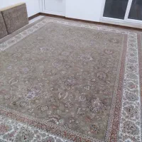 یک جفت دوازده متری گردویی افشان همراه پشتی