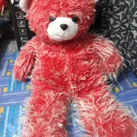 پالتو و هودی و غیره|لباس|نهاوند, |دیوار