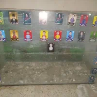 آکواریوم و لوازم