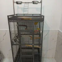 قفس بزرگ طوطی