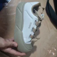 کفش|کیف، کفش، کمربند|آران و بیدگل, |دیوار