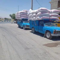 فروش کاه جو و کاه گندم