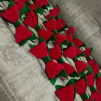 سرگرمی وفراغت