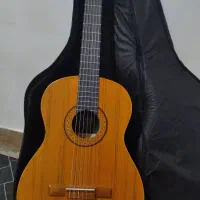 فروش فوری گیتار|گیتار، بیس، امپلیفایر|بوکان, |دیوار