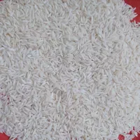 برنج هاشمی درشت و برنج نیمدانه آستانه اشرفیه