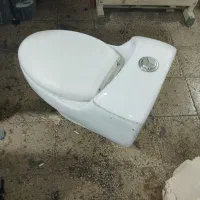 دشوری فرنگی