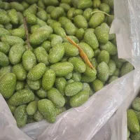 زیتون سبز|خوردنی و آشامیدنی|شیراز, طلاب|دیوار