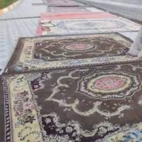 قالی دست دوم|فرش|فیروزآباد (فارس), |دیوار