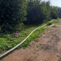 فروش باغ ۵۰۰۰ متری گچساران|فروش زمین و ملک کلنگی|دوگنبدان, |دیوار