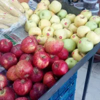 قیمت به روز میوه|خوردنی و آشامیدنی|کاشان, میدان کهنه|دیوار