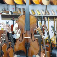 گیتار ویولن  سنتور  کیبورد دوتار ستار  هنگ دارم دف|گیتار، بیس، امپلیفایر|پاکدشت, پاکدشت (مامازند)|دیوار