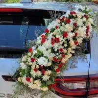 ماشین عروس|گل و گیاه طبیعی|شیراز, خلدبرین|دیوار