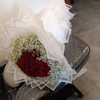 گل سی و هشت شاخه نو|گل و گیاه طبیعی|تهران, مهرآباد جنوبی|دیوار