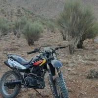 تریل رادیسون 200