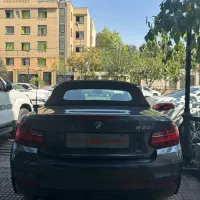 کروکbmw220|خودرو سواری و وانت|تهران, عباس‌آباد|دیوار