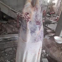 قصاب ذبح شرعی واسلامی