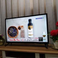 تلویزیون اسنوا