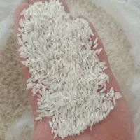 برنج طارم هاشمی