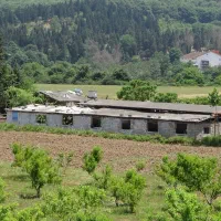 اجاره سوله ۵۰۰ متری دامداری و مرغداری تخم گزار